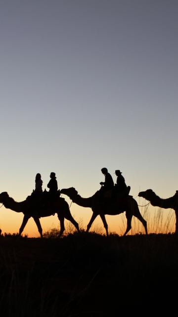 A silhouette of people riding camels at sunset | Uluru Australia | Uluru Rockies | Mossmangor Indigenous Tourism