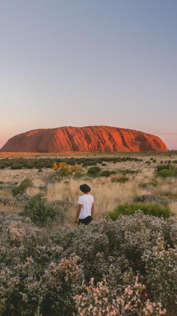 Man looking at Uluru during sunset
